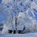 Фотография от александр панин