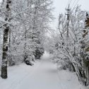 Фотография от Александр Реджебов