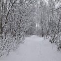 Фотография от Любовь Володина (Пастушенкова)