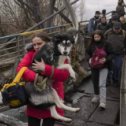 Фотография от Тоня Золотопуп Верещинская