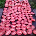 Фотография "Зимой попробуем вяленые томатики"