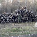 Фотография "запасы дров на зиму"