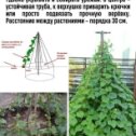 Фотография от Благоустройство и озеленение