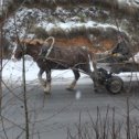 Фотография от Станислав Кузьмин