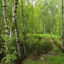 Фотография от Сергей и Тамара Никульшина( Князева)