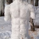 Фотография "snow man"