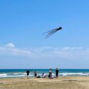 Фотография "Вчера, 18 марта, на Кипре  был выходной день в честь праздника,, Зеленый понедельник,,  его празднуют в первый день Великого поста перед Пасхой.... Жители выезжают на пикники, запускают воздушных змеев.. "