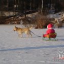 Фотография "Внучка катается с Дружком по льду на речке"