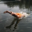Фотография "Выигрываю чемпионат мира по прыжкам в воду"