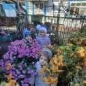 Фотография "Бабушкины цветочки"