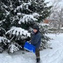 Фотография "Зима! Николин торжествует, лопатой разгребает снег. А снег идёт, идёт и жизнь прекрасна!"