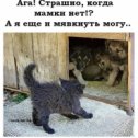 Фотография от Серёга Арсенал