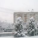 Фотография "Zimnee snejnoe utro v Tashkente."