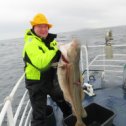 Фотография "Уклейку поймал в Норвежском море"