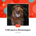 Фотография от илья тор