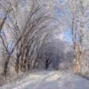 Фотография "Аллею и не узнать)"