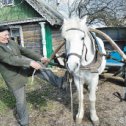 Фотография от Вера Пигулевская