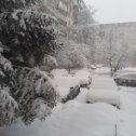 Фотография "ТАМБОВ.Снегопад после дождя 20.01.2024"