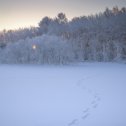 Фотография от Фотограф Артемьев Владислав