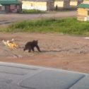 Фотография от Александр Пупкин