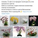 Фотография от Екатерина Доходная