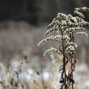 Фотография от Вадим Маэстро