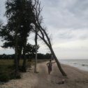 Фотография "На заливе.Держу дерево , чтобы не упало..."