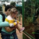 Фотография "#zoo #minskzoo #happytime #mayday #sun #family #daughter #happyday  #children #childhood #trip #belarus #minsk #parrot #fishes #dog"