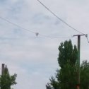 Фотография "Воздушный шар над г. Кант"
