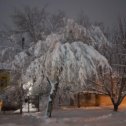 Фотография от светлана носова