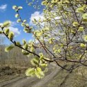 Фотография от Людвига Макеева(Макаровская)