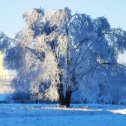 Фотография от Людмила Чимрова (Малышева)