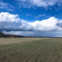 Фотография "Взлетка @yarairlines невозможно красивая, а это ещё трава даже толком не зазеленела. И небо. Невозможное, удивительное, синее небо. Радуги на каждом углу, жалко не успела сфотографировать. И облака - видишь такие облака и понимаешь, почему они называются кучевыми. Они огромные, как горы, пушистые и уютные. И все вокруг пахнет весной, и эта весна плевать хотела на вирус, политические игрища и вообще на всё. Она просто пришла и притащила облачные холмы, которые зацепились за деревья и висят там, огромные и прекрасные. #ярославия #коприно #взлетнаяполоса #приключениякопряков #нашиавиалинии #весна #облака #небороссии"