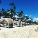 Фотография "Dominican Republic 🇩🇴 August 2018"