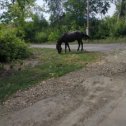 Фотография от Николай Шевченко