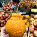 Фотография "Какие интересные мандарины 🍊"