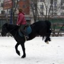 Фотография "так начинается галоп"