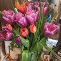 Фотография "Сынулька! Всё ваши тюльпаны   раскрылись, красота, смотри. Спасибо, роднульки мои!!! "