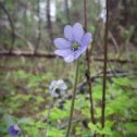 Фотография от Александр Хаманов