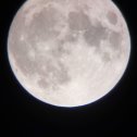 Фотография "Вот так выглядит луна сегодня, в суперлуние, которое получило название Голубой Луны"