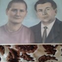 Фотография "Мои родители , Лисовы Александр Семёнович и Александра Митрофановна."