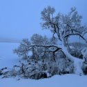 Фотография от Наталья Дукальская (Кучерявых)