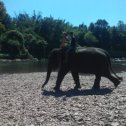 Фотография "катание на слонике"