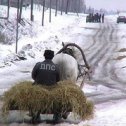 Фотография от Сер ЕГа