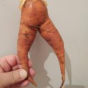 Фотография "Побег моркови!!!"