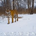 Фотография от Сергей Паталах