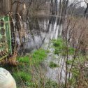 Фотография "01.03.2024 В саду вода вышла из берегов пруда"