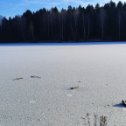 Фотография от Галина Прилуцкая