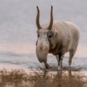 Фотография от Евгений Полонский