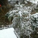 Фотография "Зима в г. Керчь 20.12.20 г"